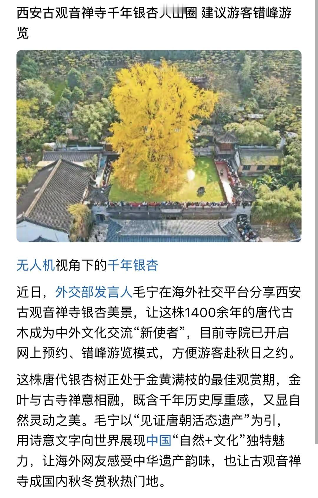 如果违法乱纪了。拜佛是没有用的，不信你问西安那个谁方先生。