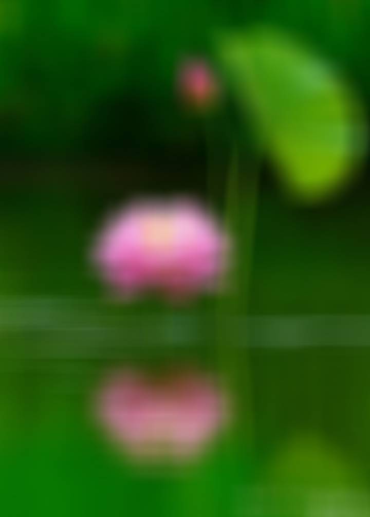 贝尔被人称为“最乐观的人”。有一天山洪暴发，大水漫过村庄。贝尔坐在自家屋顶上乐滋