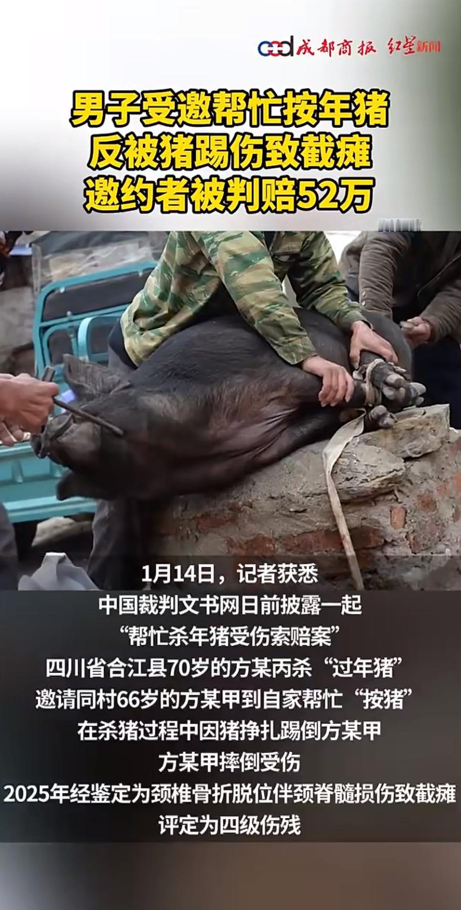 一则“男子帮邻居按猪被踢致截瘫，邀约者被判赔52万”的新闻引发热议。河北一男子应