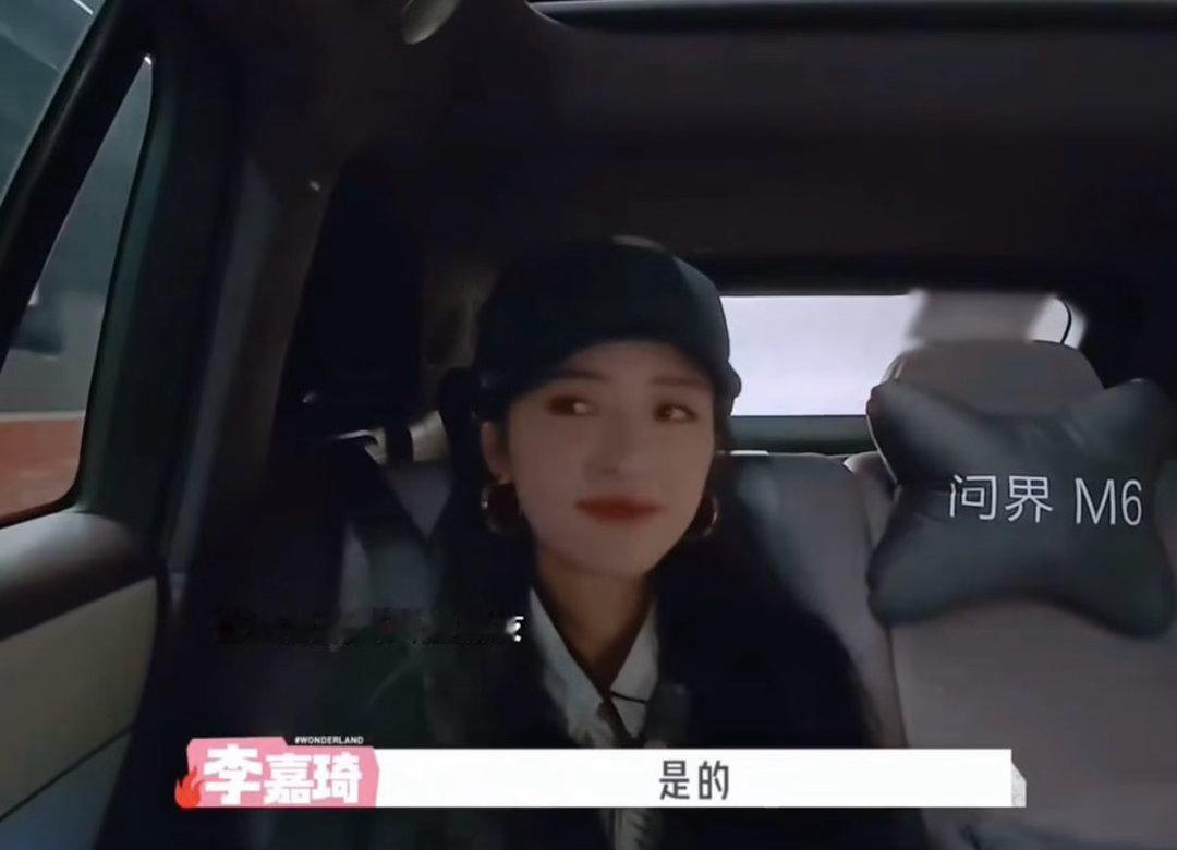 看得出来沈月李嘉琦是真喜欢桃花坞沈月李嘉琦是真喜欢桃花坞一次次奔赴同一个村落相聚