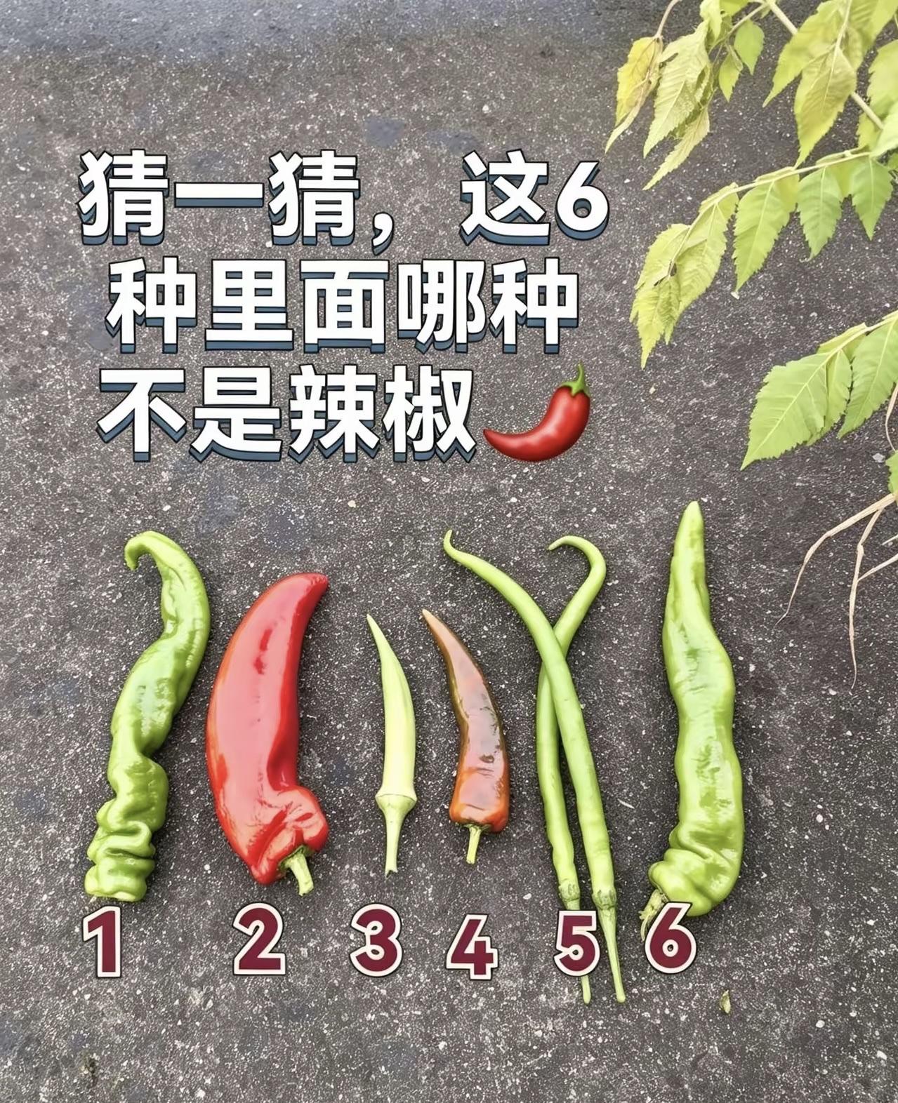 下面这张图里，有个滥竽充数、假装成辣椒的家伙，你能在20秒里把它揪出来吗？几号不