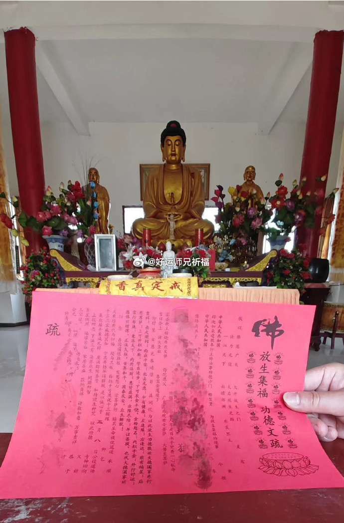 农历五月十五，月满转运之日，正是放生积福、培植善根的殊胜因缘。放生既是救众生于危