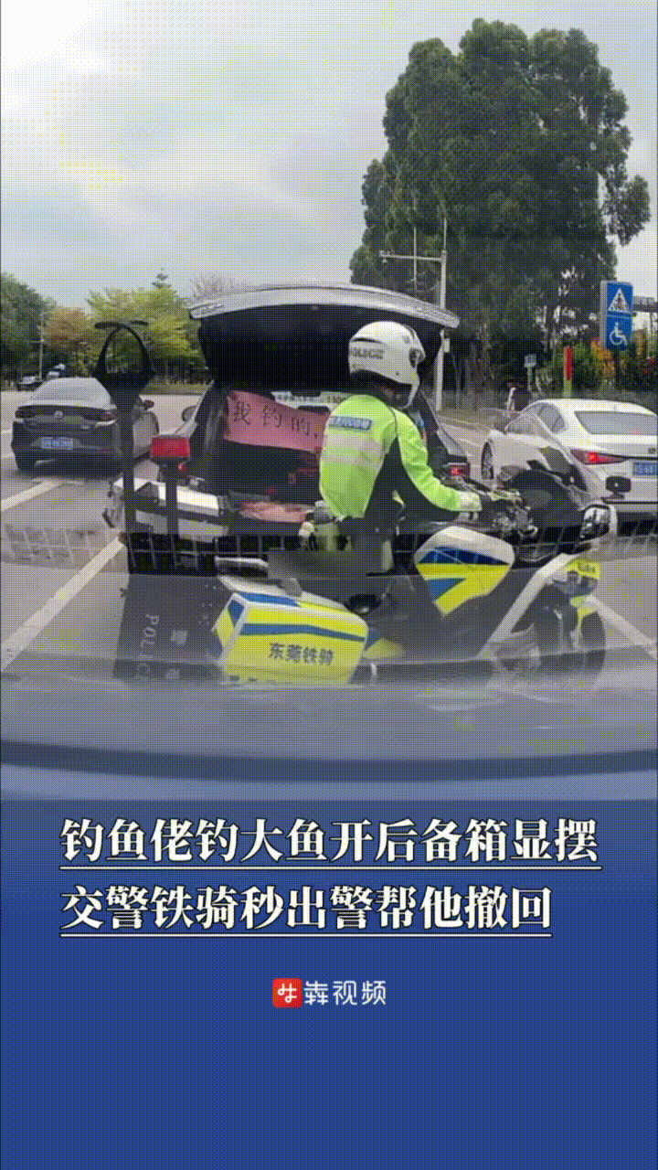 一位车主在等红绿灯时，打开后备箱向后车炫耀钓到的大鱼，而且还拉了一个横幅“我钓的