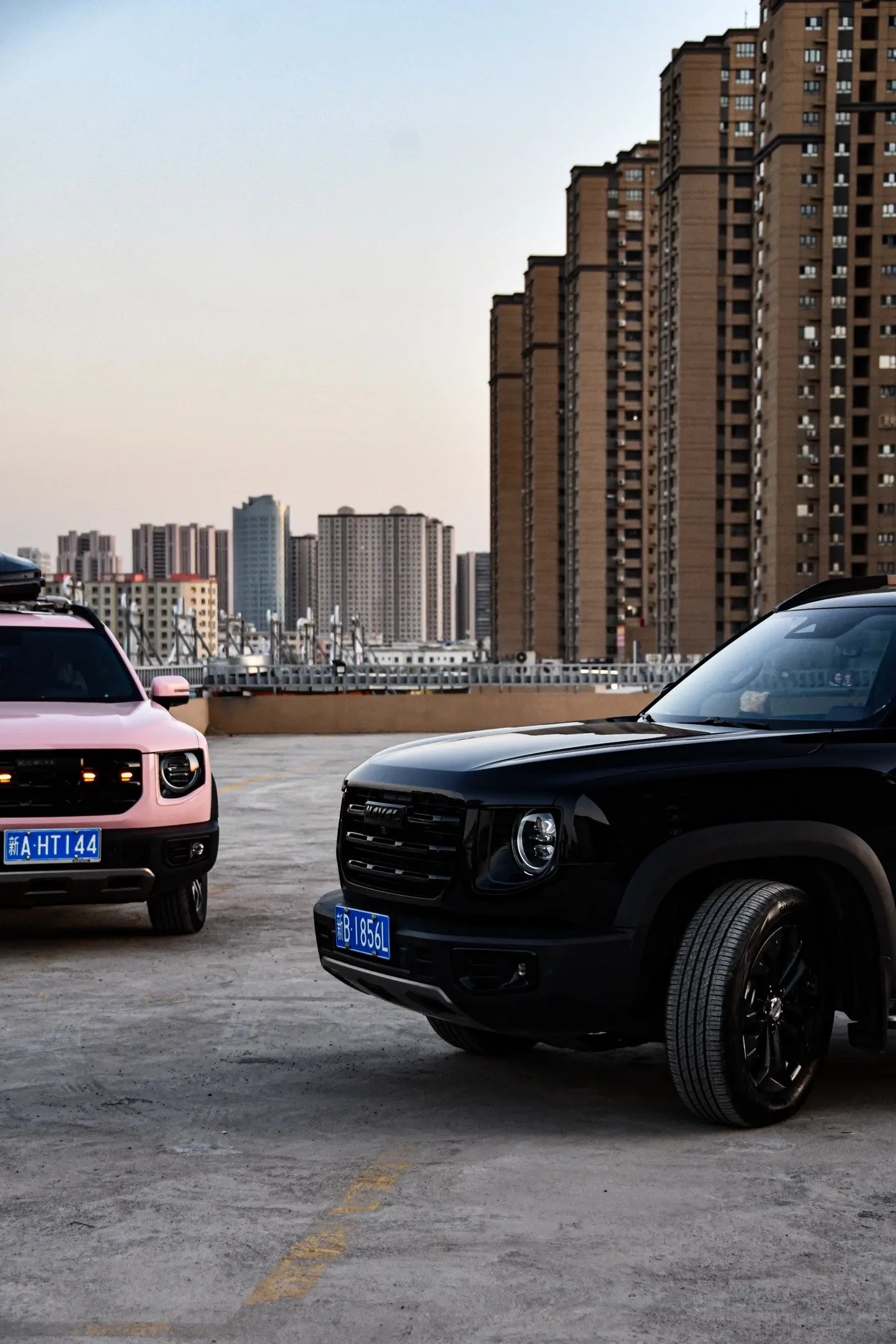 快乐来源于热爱🚗