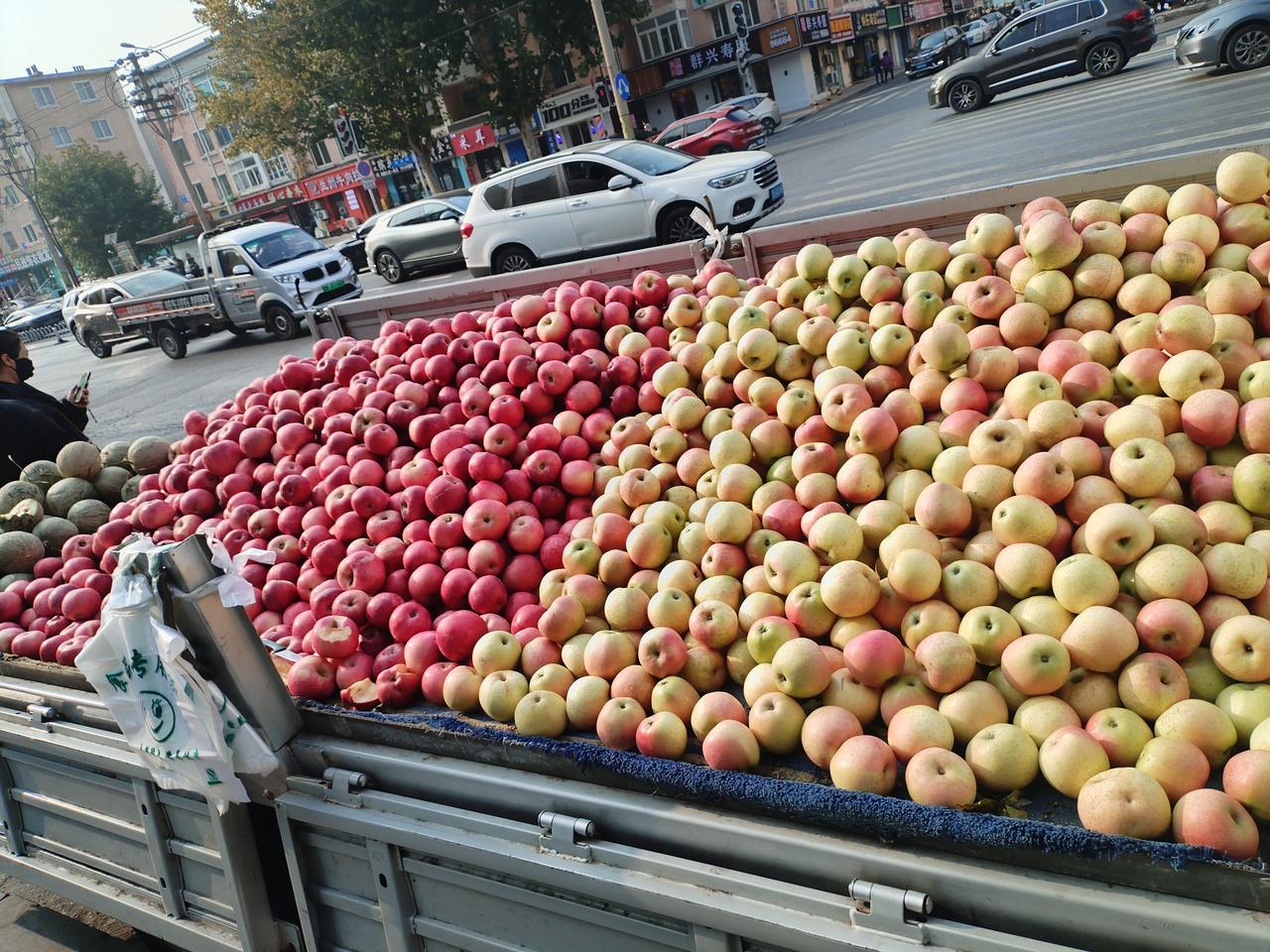 今天秋天，水果之乡的大连，各种水果遍地都是。大街边，天桥上，到处都可见到满地的苹