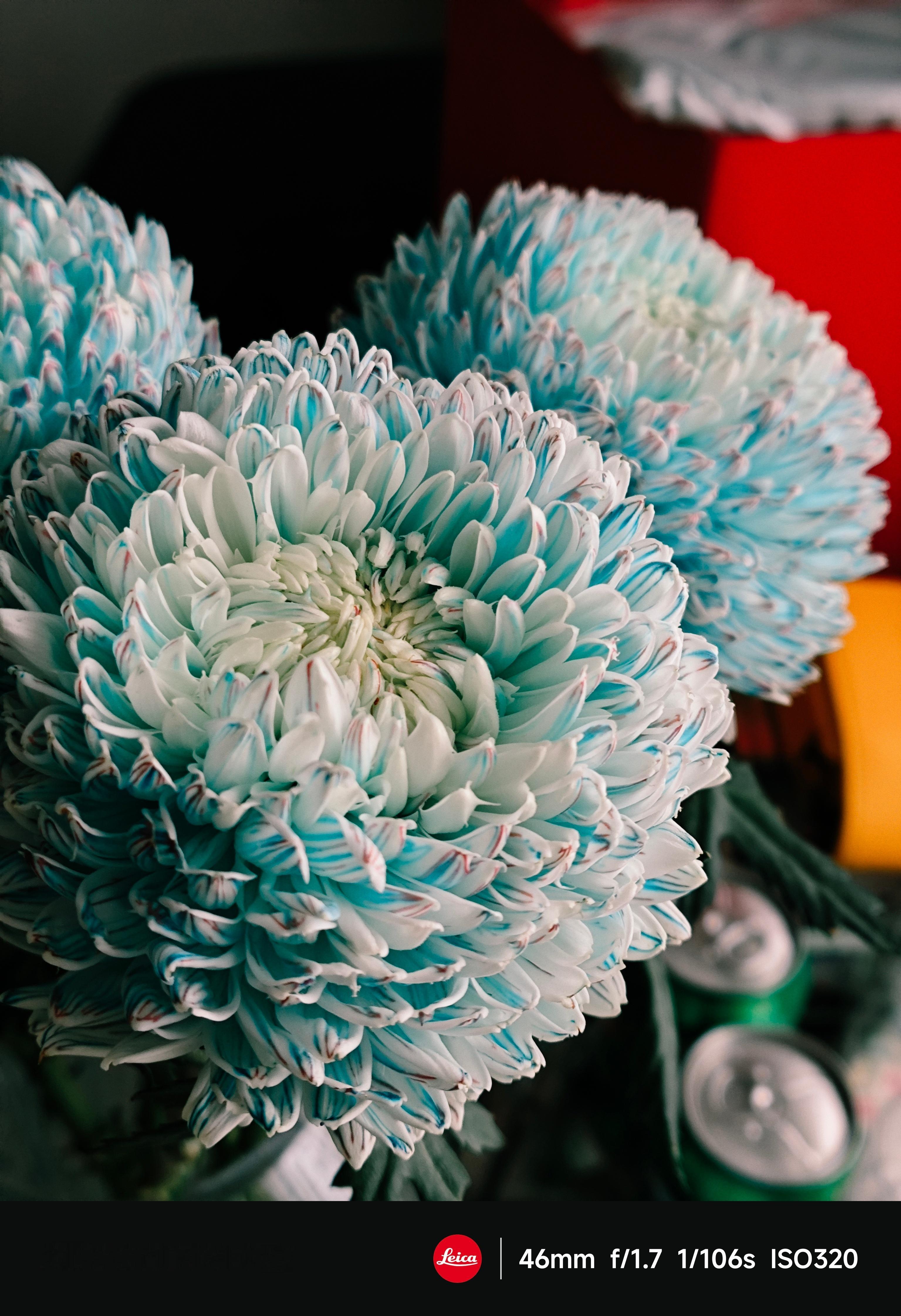 一张很富士，一张很莱卡 ​​​