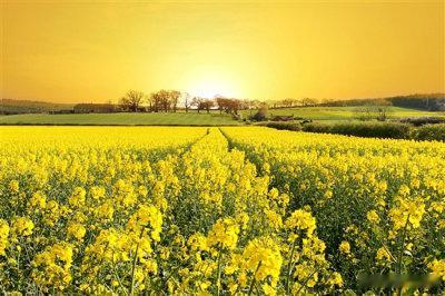 Sometimes the right path is not the easi
