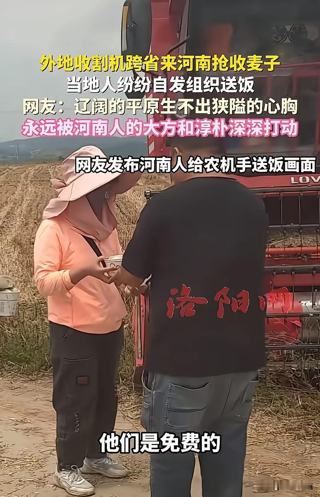 河南收麦子的场景却是另一番景象，大家都不约而同的从自己家里带饭，或者是买的一些食