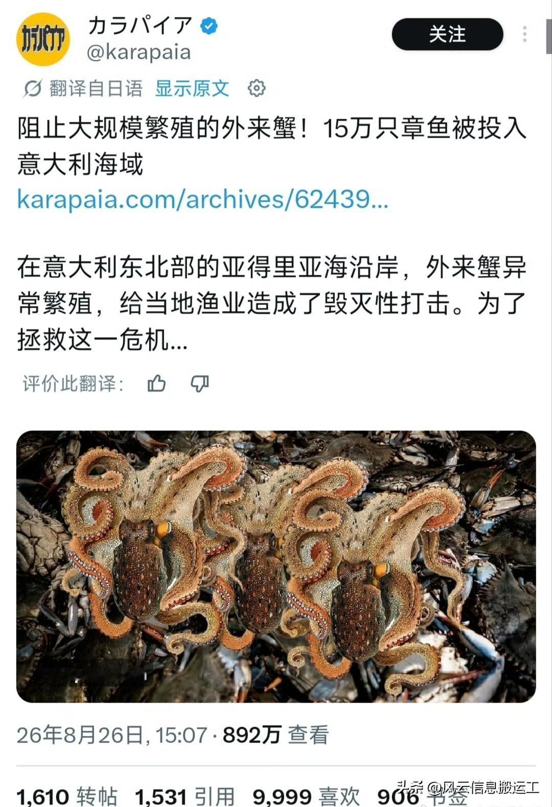 意大利外来蟹泛滥，打算投 15 万只章鱼来治理，这一新闻引起中日韩三国网友玩梗，