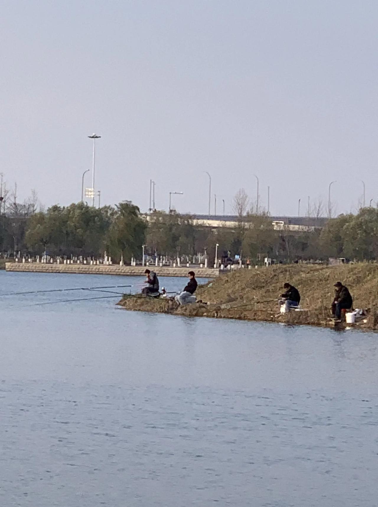 今天去龙湖湿地游玩，让我惊艳的邂逅了一幅宁静而深邃的画卷。午后的阳光轻柔地洒在大