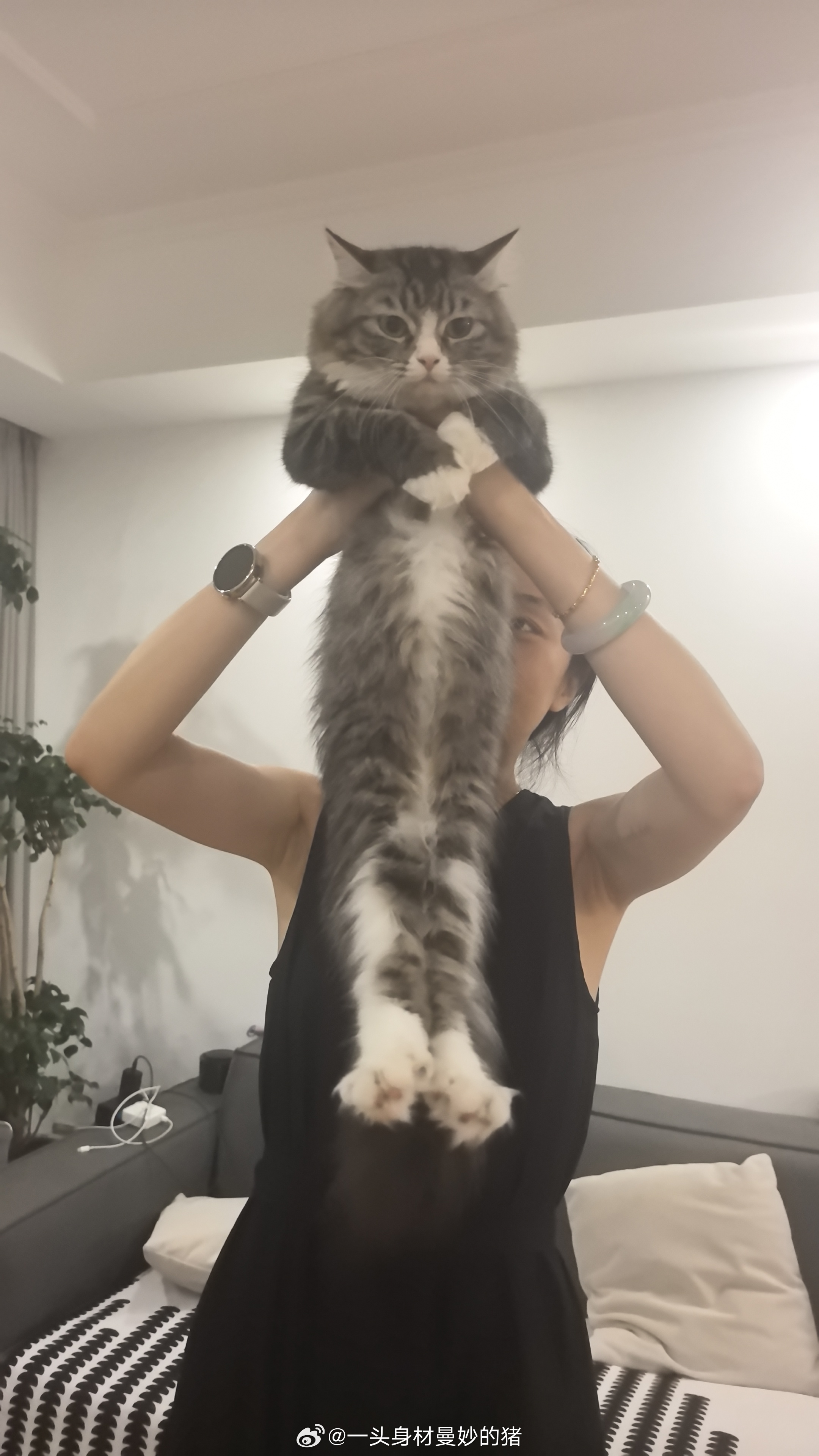 删照片 lst的相册里有什么空手硬拉之时哈基猫刚好路过霸道机车骑士强制爱和朋友们