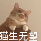 大急先锋读读娱乐