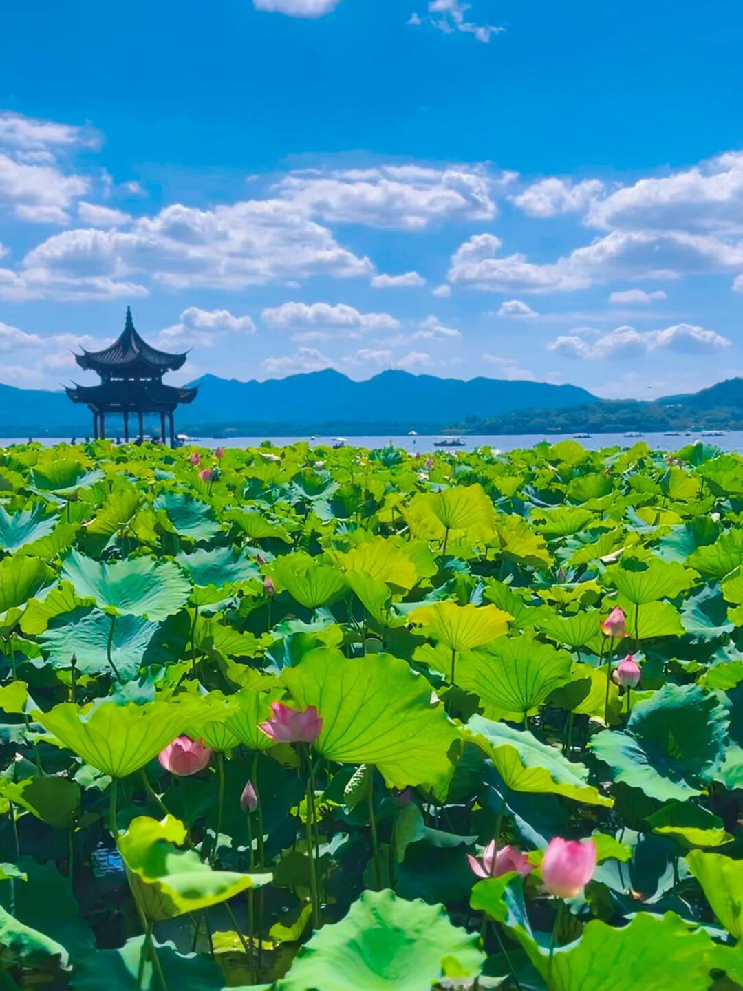 早安 北京