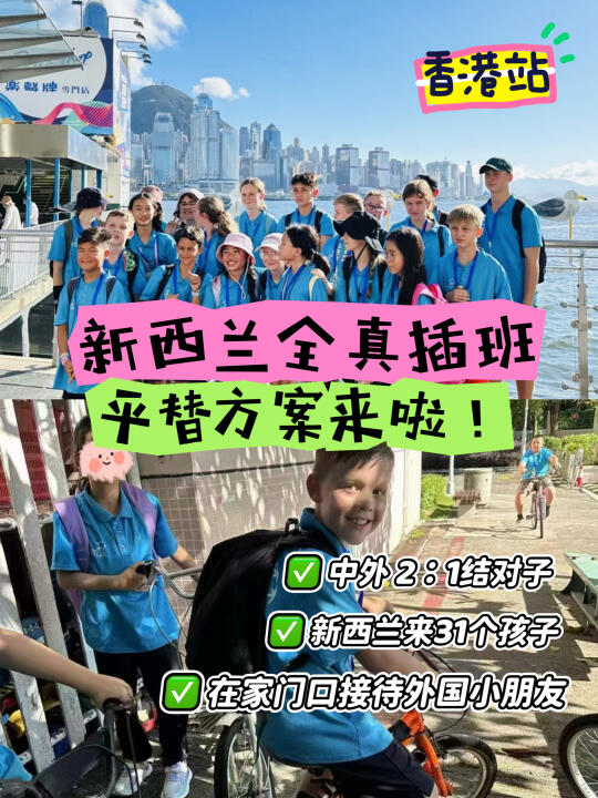 🇳🇿新西兰全真插班，平替方案来啦！