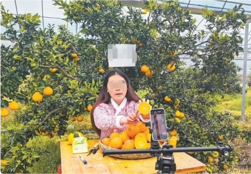 记者深入调查，果园直播间造假严重，几十块就能让直播背景变成果园 