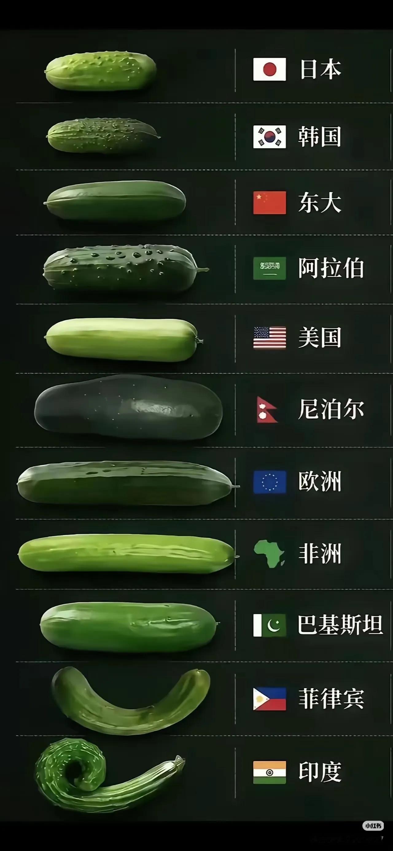 橘生淮南则为橘，生于淮北则为枳。
没想到黄瓜在不同的地方也长成了不同的现状。
我