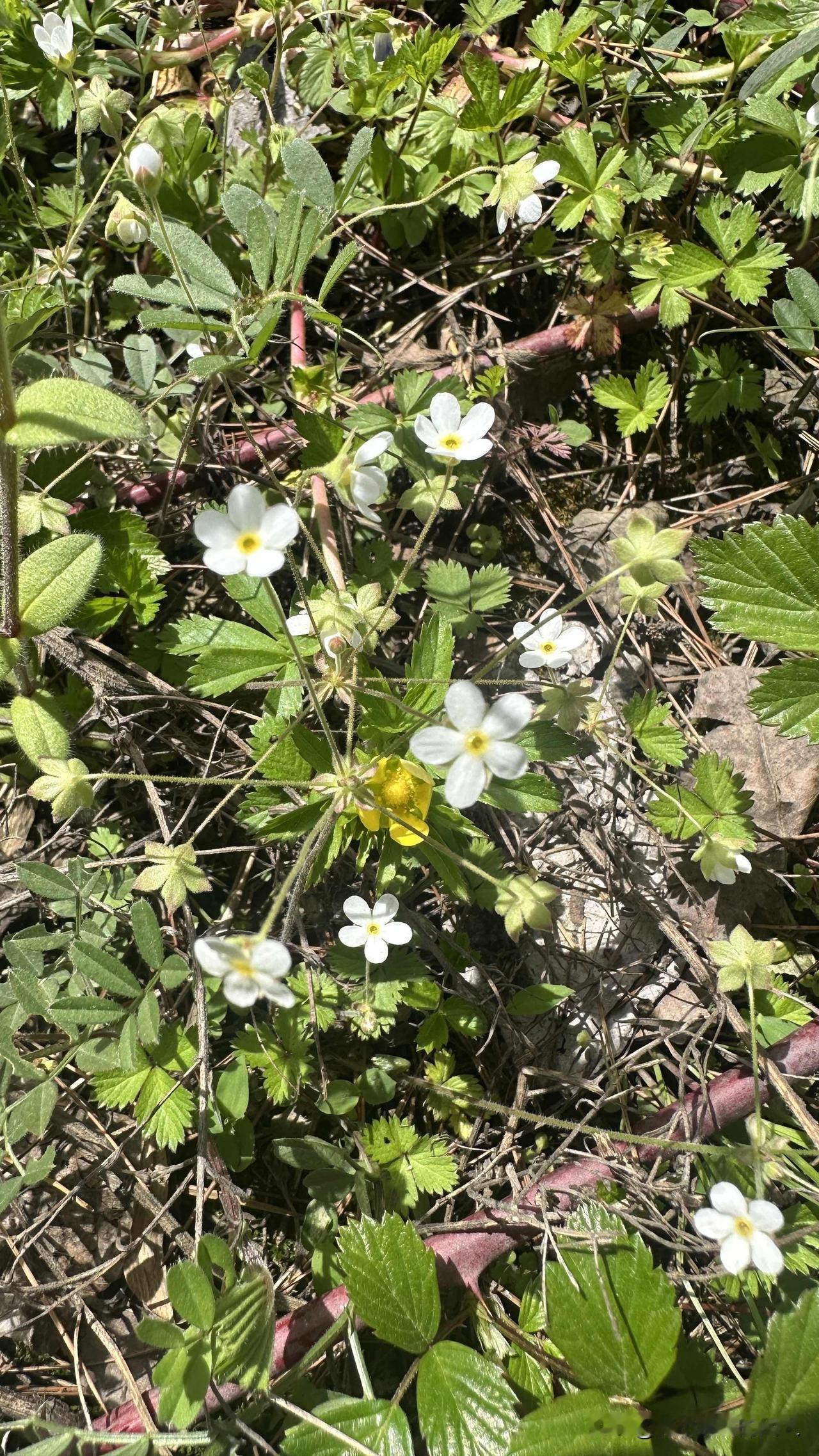 很多人觉得，欠了一屁股债，这辈子就废了。

但你想想：你还拥有一个可以行动自如的