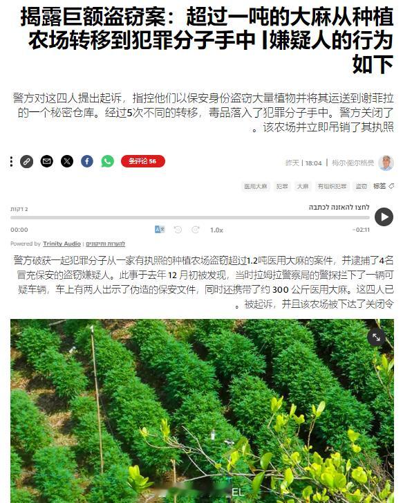 以色列警方称，他们发现四名以色列男子冒充保安从该国一座“有证的”大麻种植农场里偷