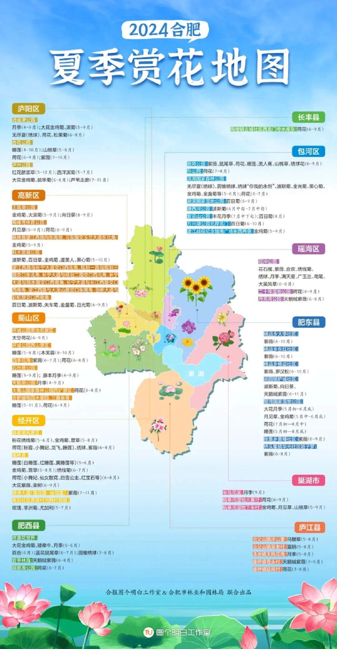 合肥赏花图鉴已出，快来感受夏花魅力！🌸🌸🌸