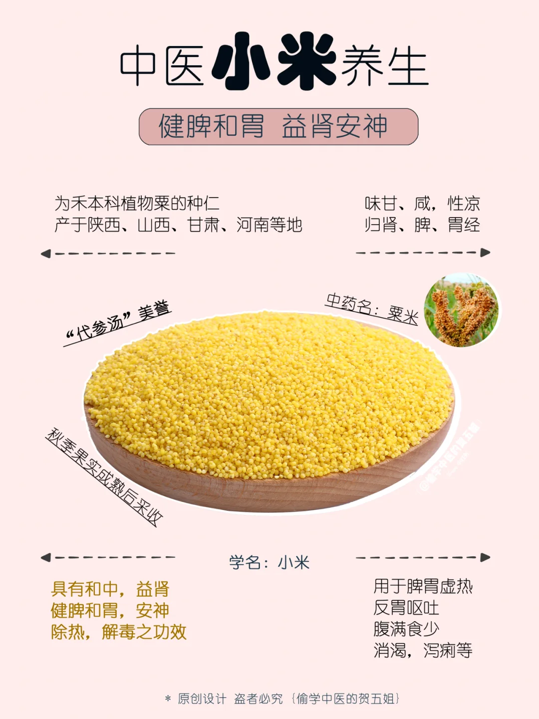 24养生课堂📝小米🌿健脾和胃 益肾安神💛🧡