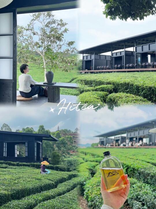 上山喝茶🍵