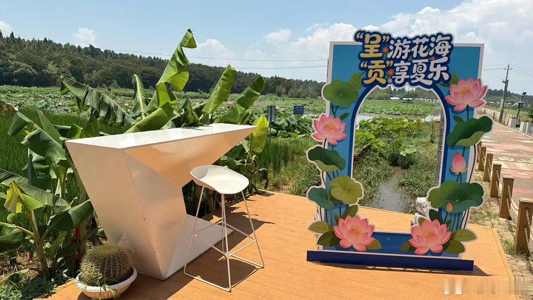 呈游花海贡享夏乐昆明的夏天真的太懂人了，随便逛一逛就能撞见连片的花海，风一吹连呼