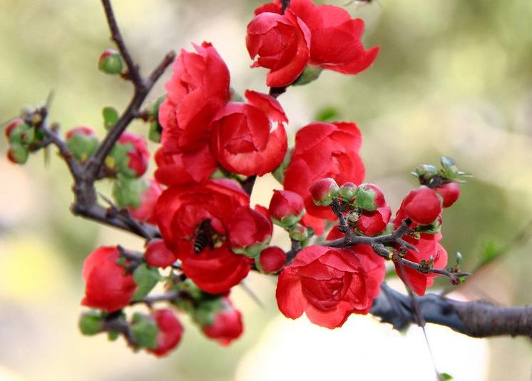 周一午评：指数热度高涨，热点略显繁杂！
周一大A小幅高开后径直上冲，目前沪指有望