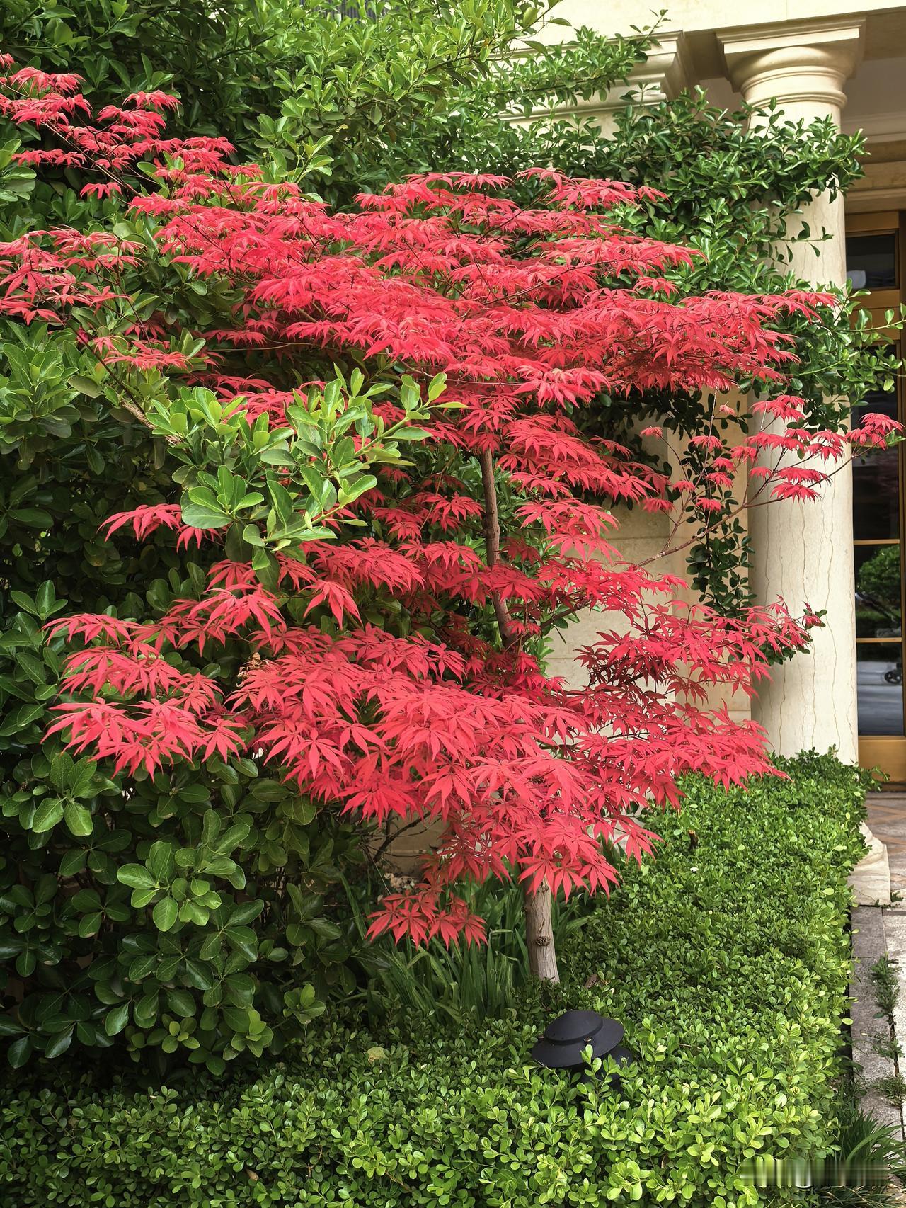 有一天你会突然发现，你的好，对别人来说就像一杯水，喝了就没了，而你的不好，就像一