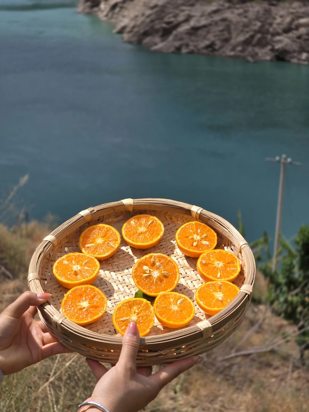 金沙江b畔的晚熟沃柑，只卖口感巅峰期。