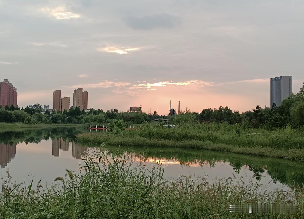荷花湖夕照……
（图片：拍摄于沙河市·荷花湖 2026-8-15）
