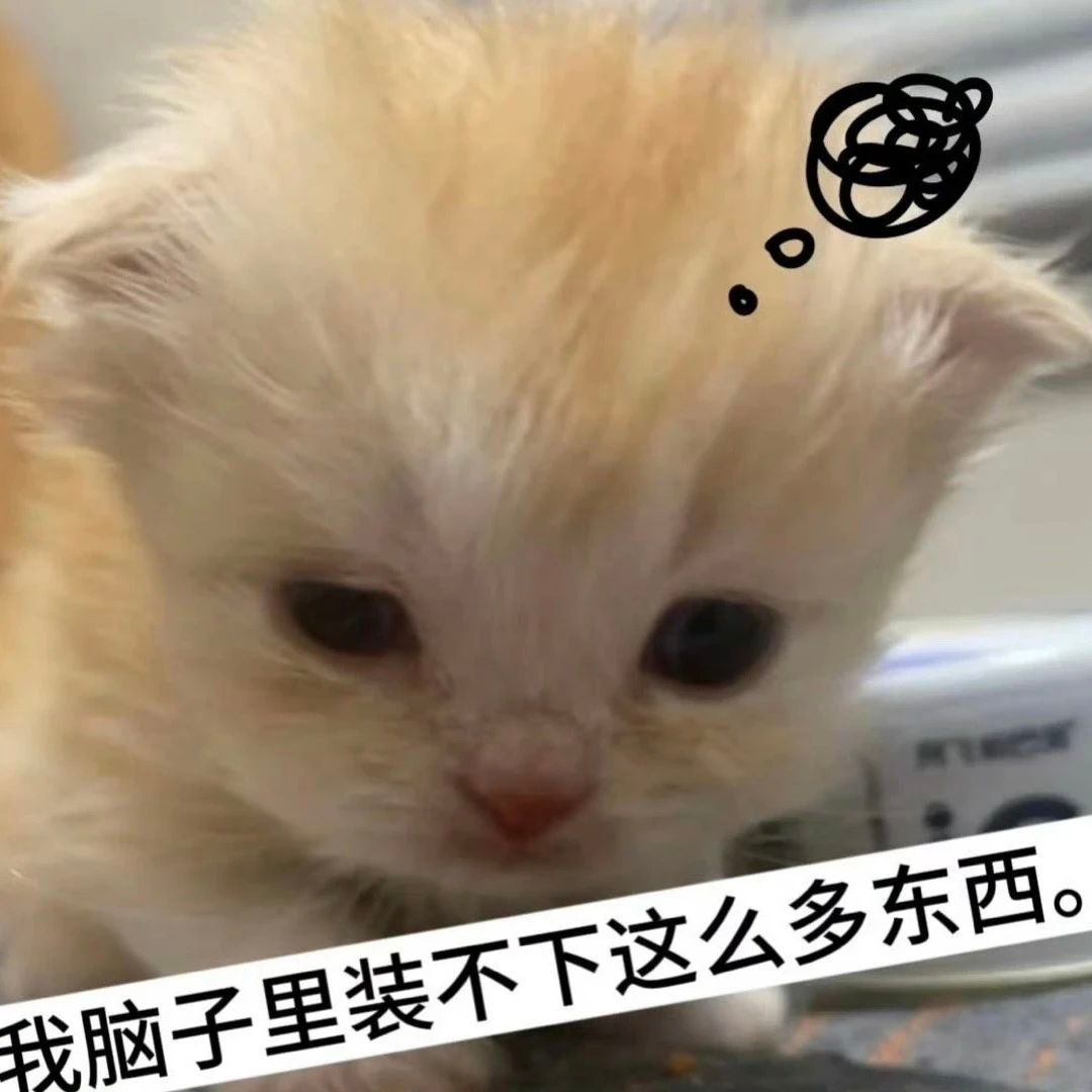 其实玻珠一直在营造打工屌丝的人设，我的工作是假的，我加班也是假的，一切全都是做戏