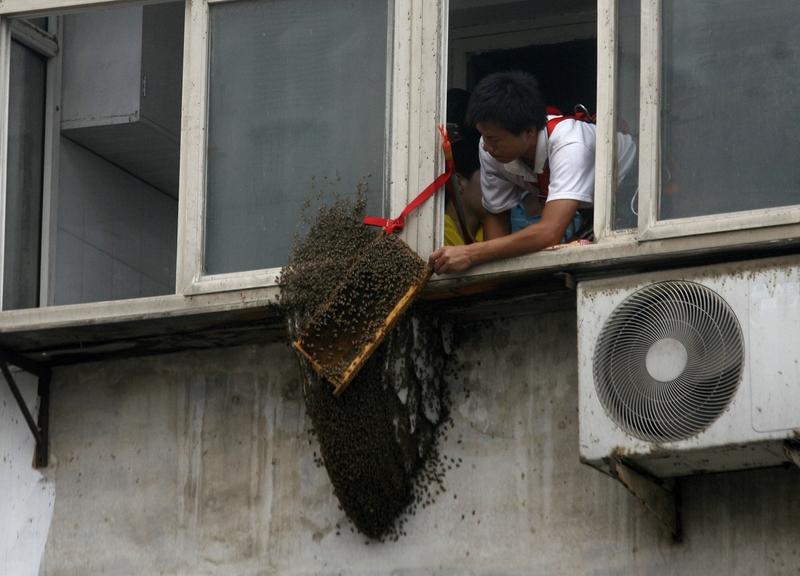 4月9日，杭州有位男子就像个“马大哈”，车窗没关仅仅15分钟，等他回来一看，好家