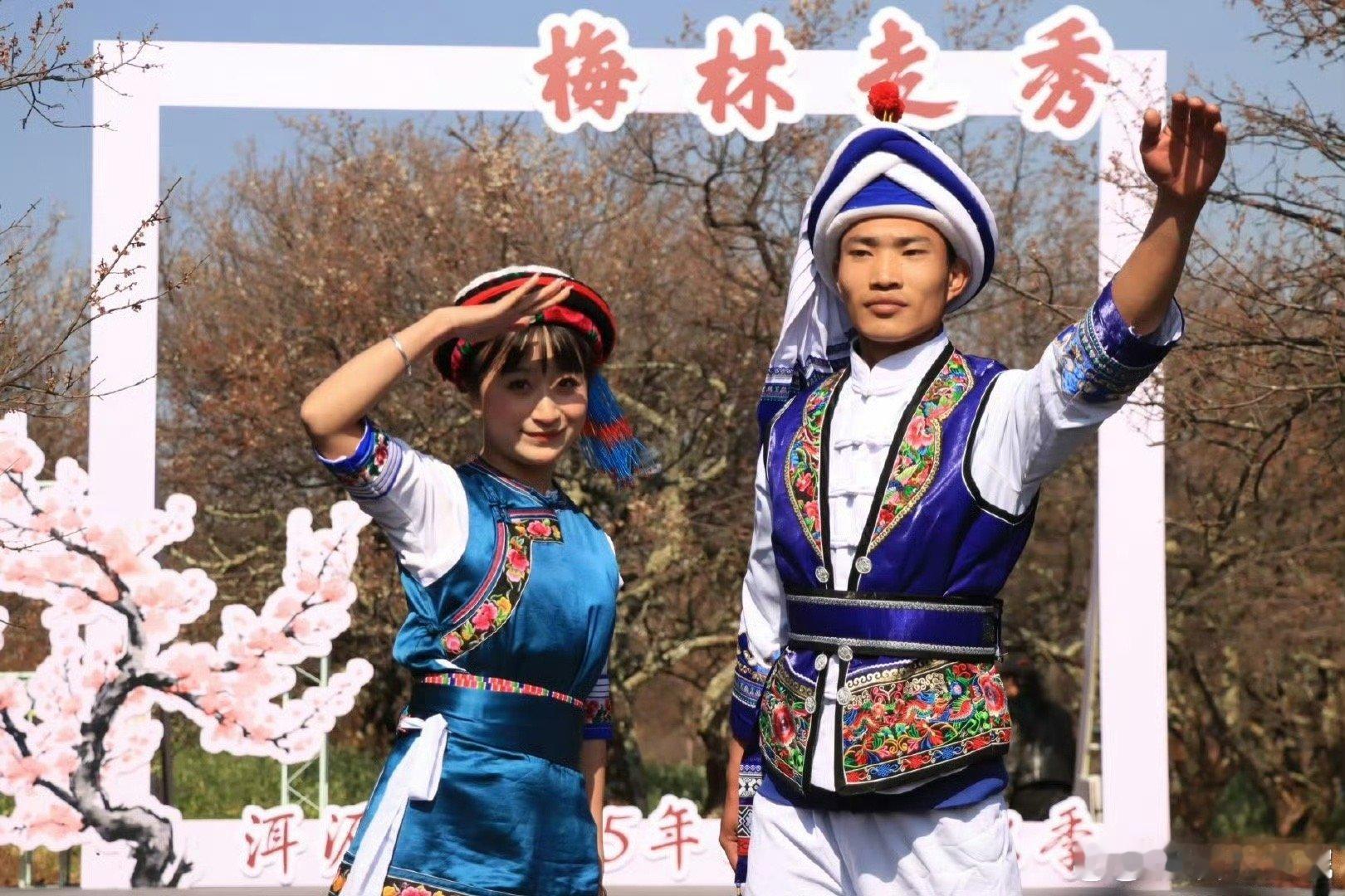 花间看花大理洱源梅林秀   云南大理洱源梅林秀的确是赏心悦目了呀，这里的梅花盛开