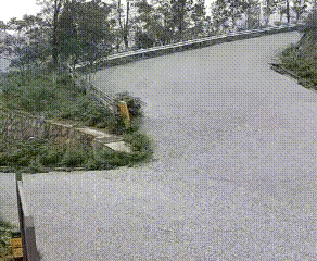 一辆摩托车，一位妈妈，两个孩子，这么着急是去哪里？看着这一幕真的揪心，意外发生的