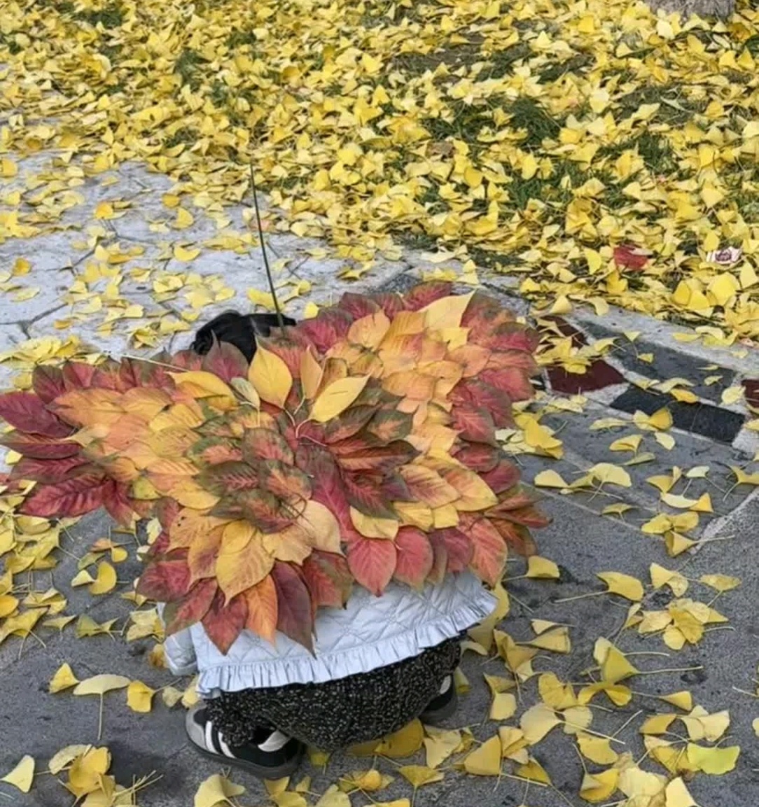 爱让小孩长出翅膀带宝宝出门解锁落叶的N种打开方式可不敢再创新了 现在家里满地的落