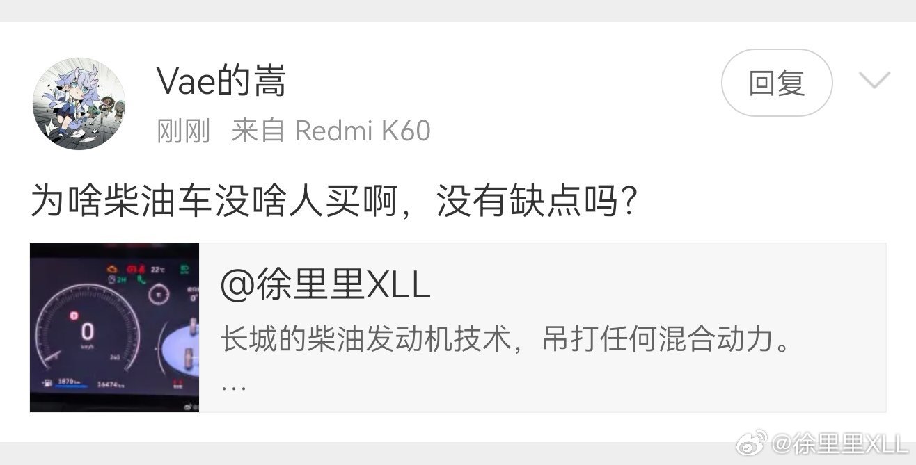 柴油车最大的缺点就是贵。比如坦克300，落地和坦克400Hi4-T几乎一个价。柴