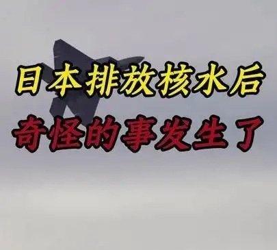 《日本排放核水后，奇怪的事发生了》日本排放核水后，奇怪的事发生了 ​​​