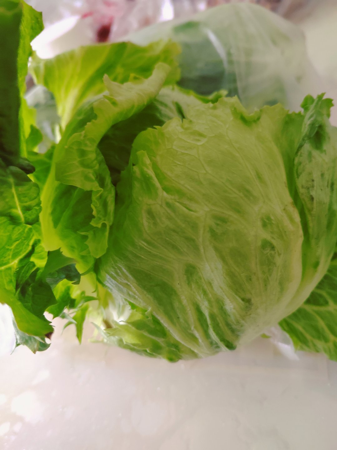 溜娃回来正好遇见一搂阿姨出门聊了几句后阿姨说亲戚给我送的生菜，给你拿几颗吧我赶忙