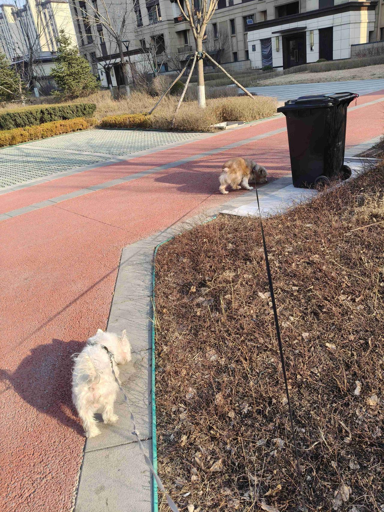 我的今日状态：😁轻松愉快
我这里的天气：☀️晴天