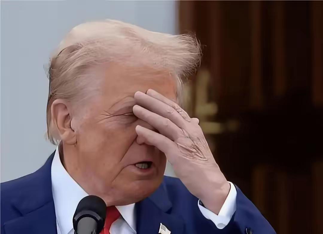 美国一呼百应的时代
可能就此结束了。美国遇到一个特不靠谱总统，事事美国优先，他不