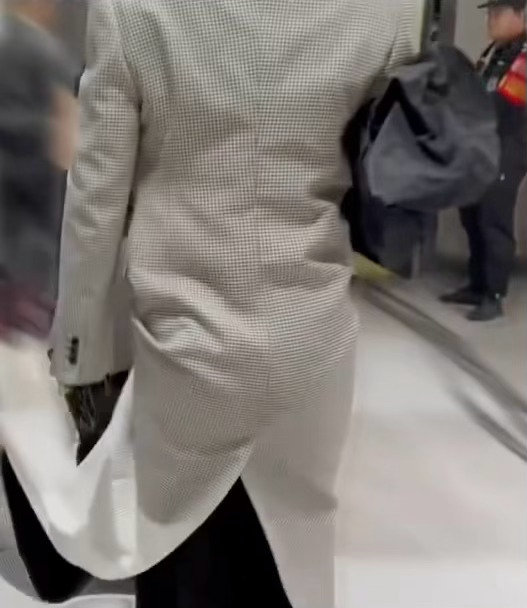 严总，提衣摆这个活我可以