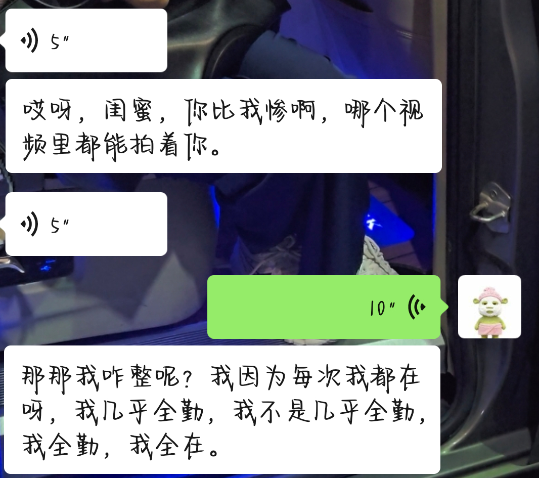 我大头照天天在天上飞