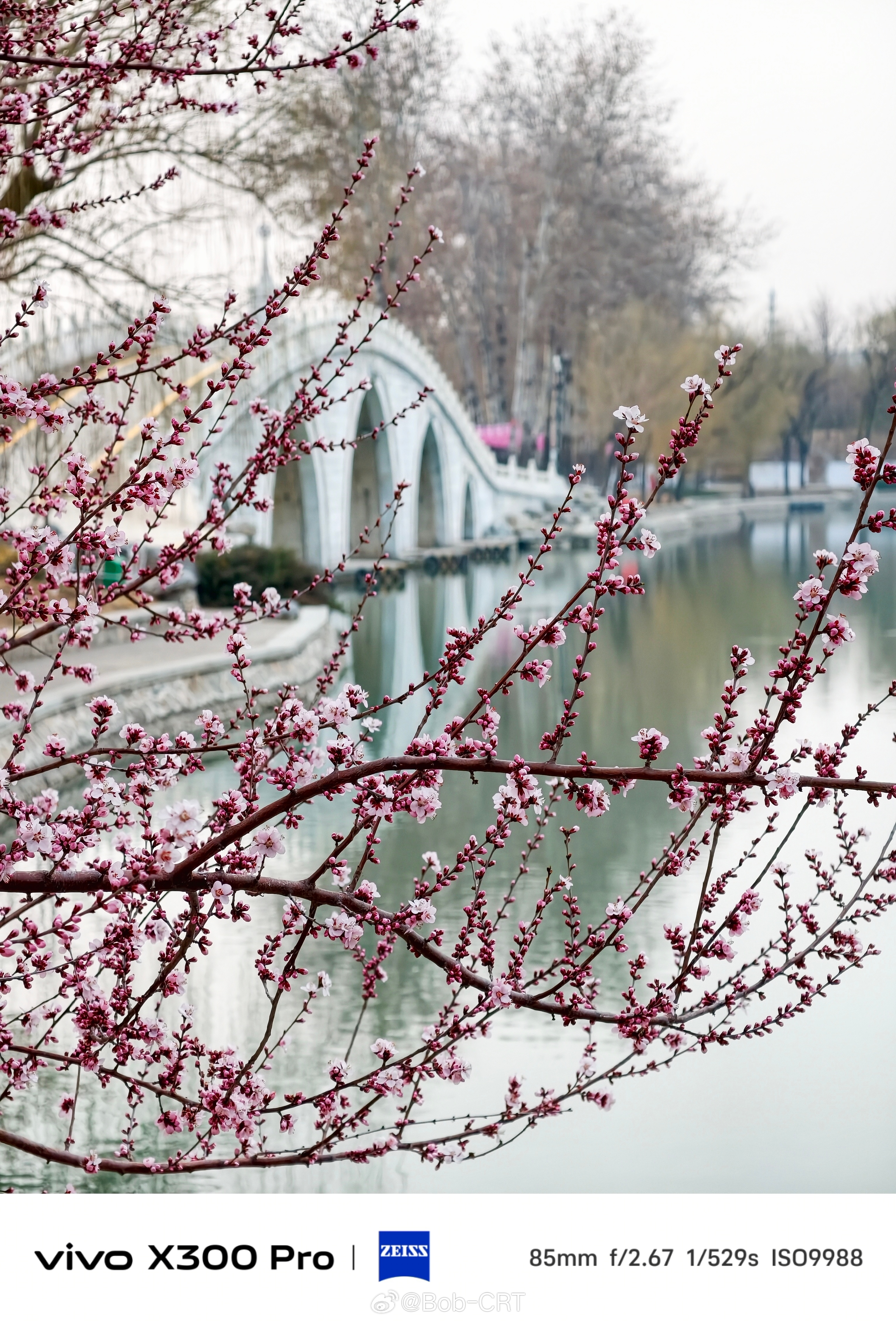 《我在玉渊潭，很想和你交换春天》北京玉渊潭公园，即将迎来樱花盛开的春天。3月13