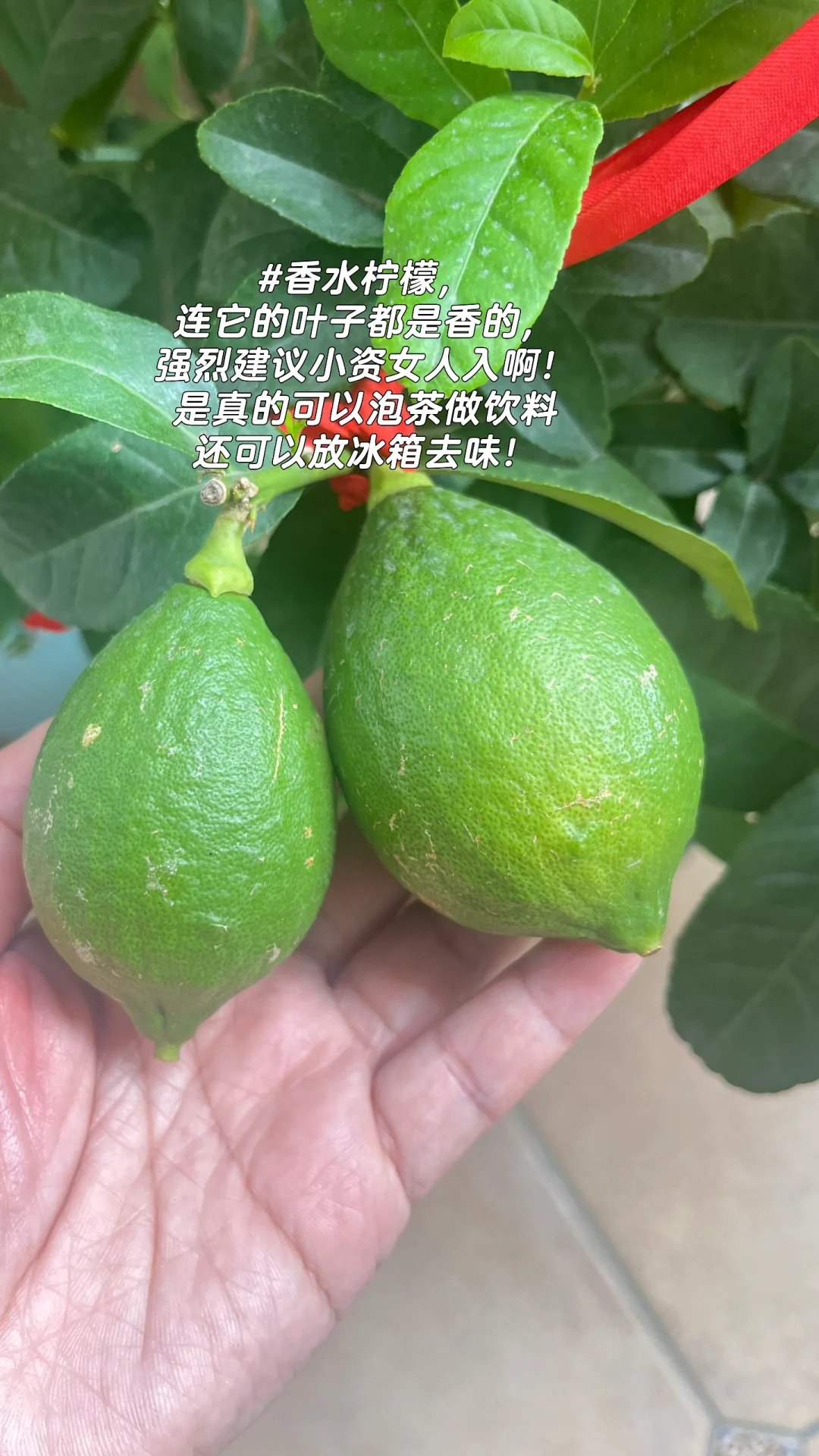 80后女教师做自媒体的一些真心话