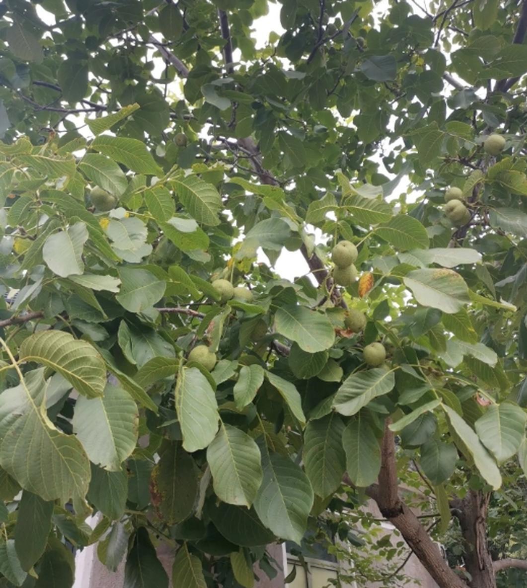 两个人同一天退休，一个拼命锻炼，一个天天躺着喝茶，最后活得久的那个，偏偏是谁都没