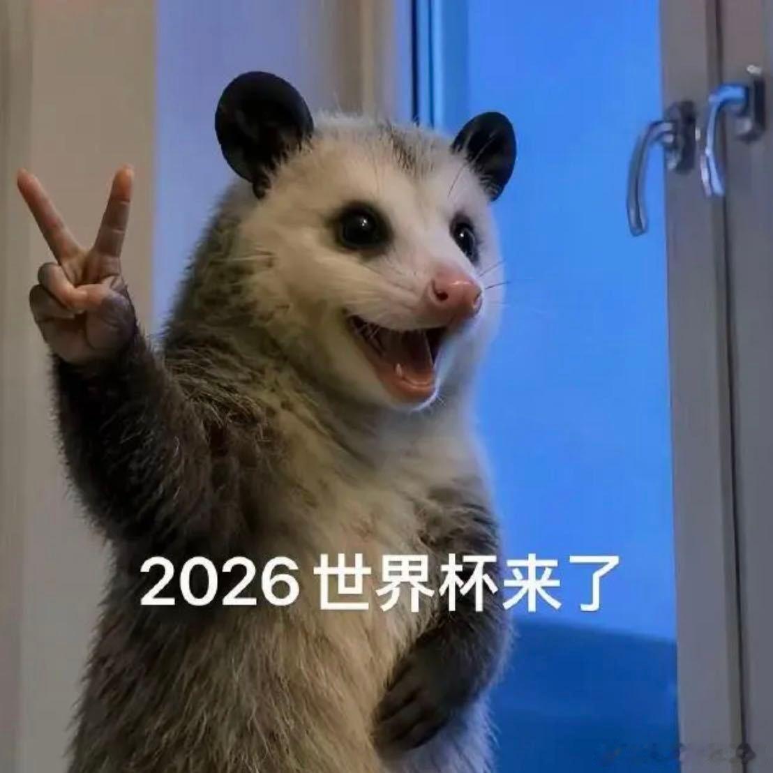阿根廷状态拉满提前出线 回放看了凌晨阿根廷的比赛。虽然早早就知道阿根廷2:0赢了