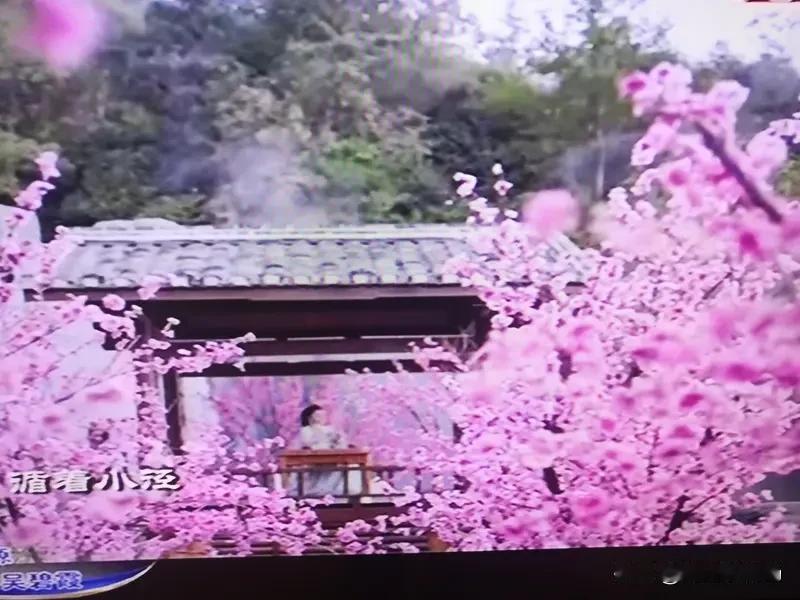 电视剧《小芳》能不能成爆款还真不好说。它刚播两集就在央八拿下全国收视第一，这成绩