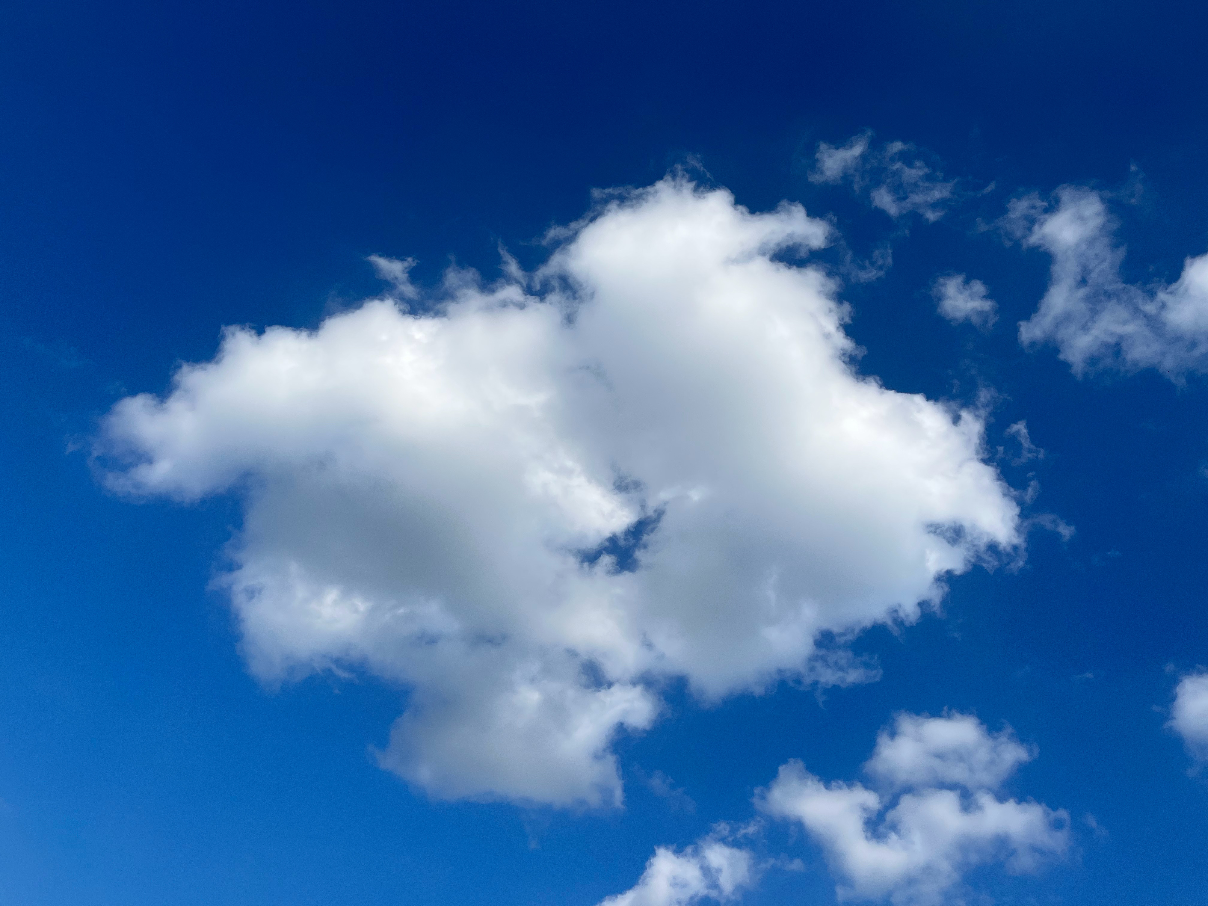 早安生活中大部分的问题，都来自没有思考的行动，或者是没有行动的思考。 