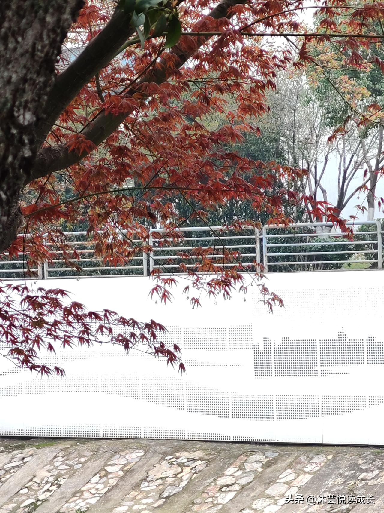 读不懂人性，你会活得很累；看清了人性，你会瞬间清醒。
 
这10句扎心真话，越早