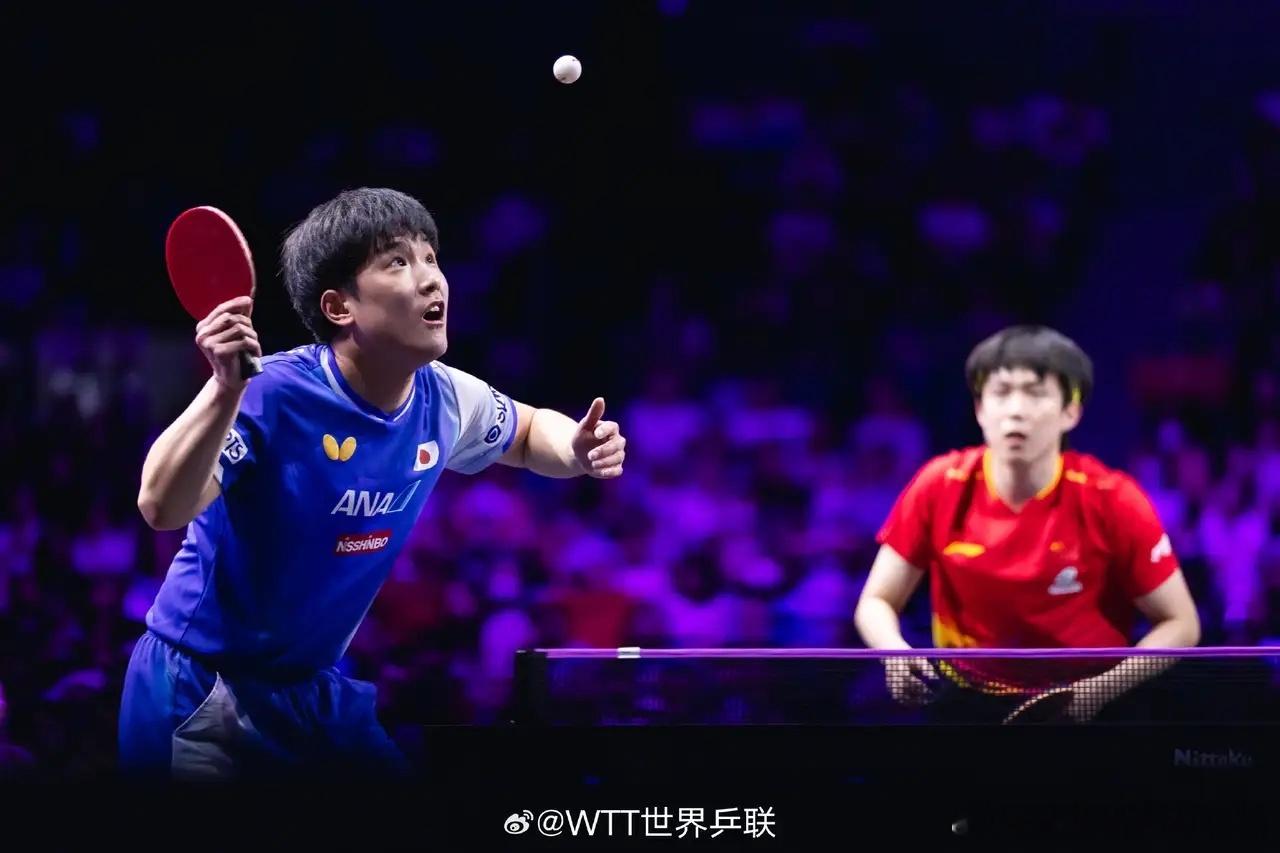 记录下张本智和和国乒交手记录:张本智和:张继科=2:0张本智和:马龙=2:5张本